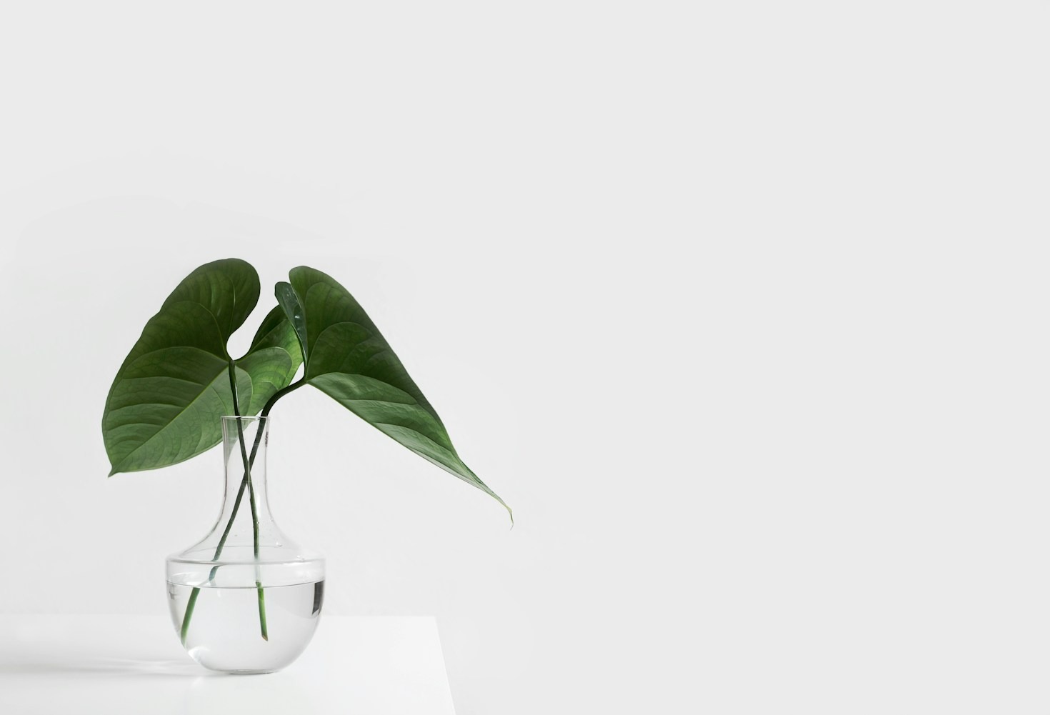 How Minimalism Helped Me Find My True Priorities