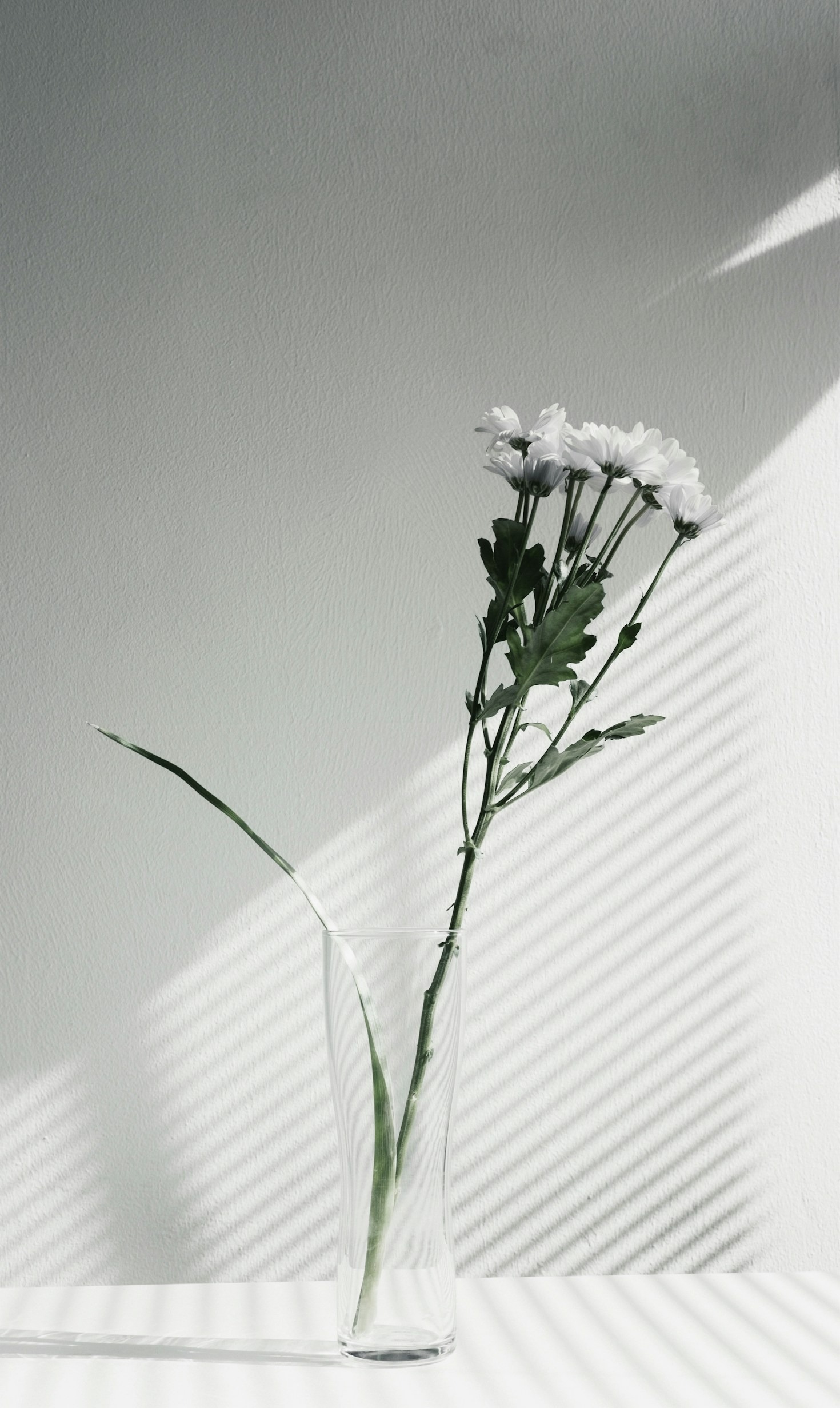 Creating Space for Joy Through Minimalism